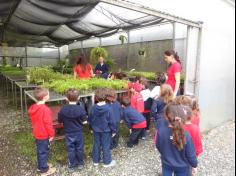 Infantil II visita o viveiro municipal