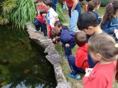 Infantil II visita o viveiro municipal