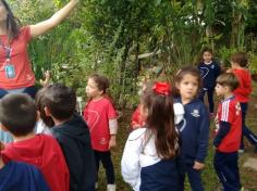 Infantil II visita o viveiro municipal