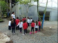 Infantil II visita o viveiro municipal