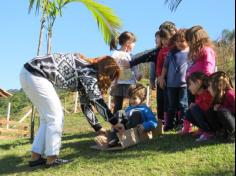 Confraternização no Grupo Pássaros