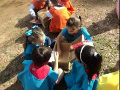 Tarde mágica e colorida do 1º ano C