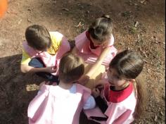 Tarde mágica e colorida do 1º ano C