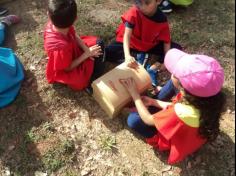 Tarde mágica e colorida do 1º ano C