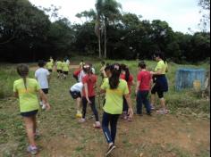 Grupo Amigos Transformando o Mundo no Espaço Verde