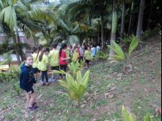 Grupo Amigos Transformando o Mundo no Espaço Verde