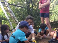 Grupo Baleia: Aula-passeio com o LEAS no Espaço Verde