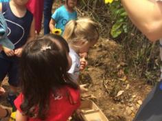 Grupo Baleia: Aula-passeio com o LEAS no Espaço Verde