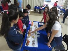 Feira de Ciências 2016