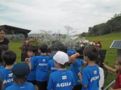 Sítio: natureza, alegria e diversão