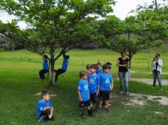 Sítio: natureza, alegria e diversão