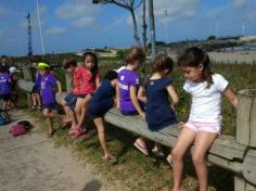 Grupo Pássaros, Amizade e Amigos dos Animais na praia