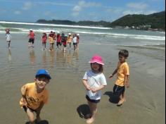 Grupo Pássaros, Amizade e Amigos dos Animais na praia