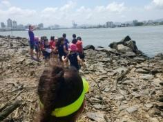 Grupo Pássaros, Amizade e Amigos dos Animais na praia