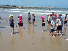 Grupo Pássaros, Amizade e Amigos dos Animais na praia