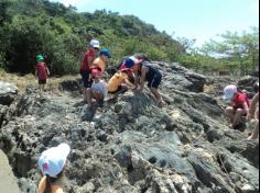 Grupo Pássaros, Amizade e Amigos dos Animais na praia