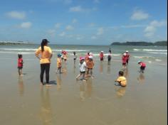 Grupo Pássaros, Amizade e Amigos dos Animais na praia