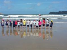 Grupo Pássaros, Amizade e Amigos dos Animais na praia