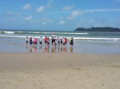 Grupo Pássaros, Amizade e Amigos dos Animais na praia