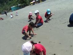 Grupo Pássaros, Amizade e Amigos dos Animais na praia