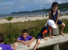 Grupo Pássaros, Amizade e Amigos dos Animais na praia