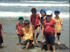 Grupo Pássaros, Amizade e Amigos dos Animais na praia