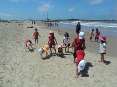 Grupo Pássaros, Amizade e Amigos dos Animais na praia