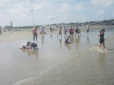 Grupo Pássaros, Amizade e Amigos dos Animais na praia