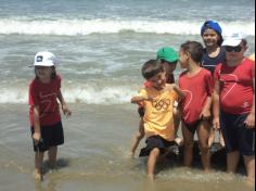 Grupo Pássaros, Amizade e Amigos dos Animais na praia