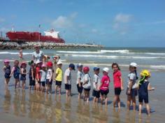 Grupo Pássaros, Amizade e Amigos dos Animais na praia