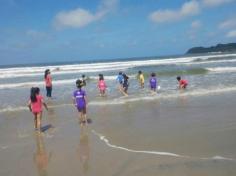 Grupo Pássaros, Amizade e Amigos dos Animais na praia