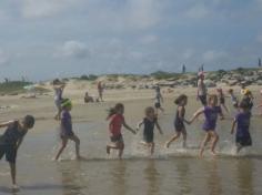 Grupo Pássaros, Amizade e Amigos dos Animais na praia