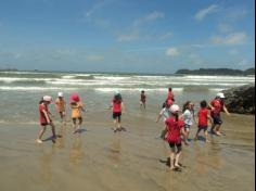 Grupo Pássaros, Amizade e Amigos dos Animais na praia