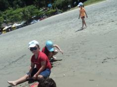 Grupo Pássaros, Amizade e Amigos dos Animais na praia