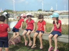 Grupo Pássaros, Amizade e Amigos dos Animais na praia