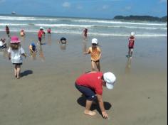 Grupo Pássaros, Amizade e Amigos dos Animais na praia