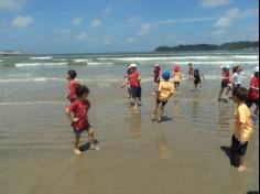 Grupo Pássaros, Amizade e Amigos dos Animais na praia