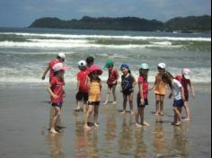 Grupo Pássaros, Amizade e Amigos dos Animais na praia