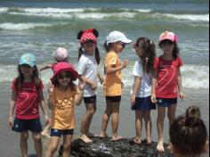 Grupo Pássaros, Amizade e Amigos dos Animais na praia