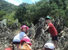 Grupo Pássaros, Amizade e Amigos dos Animais na praia