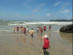 Grupo Pássaros, Amizade e Amigos dos Animais na praia