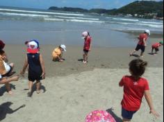 Grupo Pássaros, Amizade e Amigos dos Animais na praia