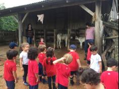 Grupo Família e suas descobertas no Sítio