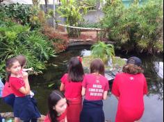 4º ano A conhece o viveiro Fazenda Nativa