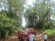 Grupo Natureza em aula passeio ao Espaço Verde