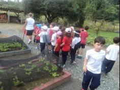 Grupo Natureza em aula passeio ao Espaço Verde