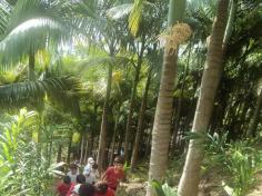 Grupo Natureza em aula passeio ao Espaço Verde