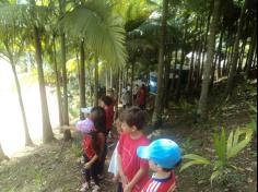 Grupo Natureza em aula passeio ao Espaço Verde